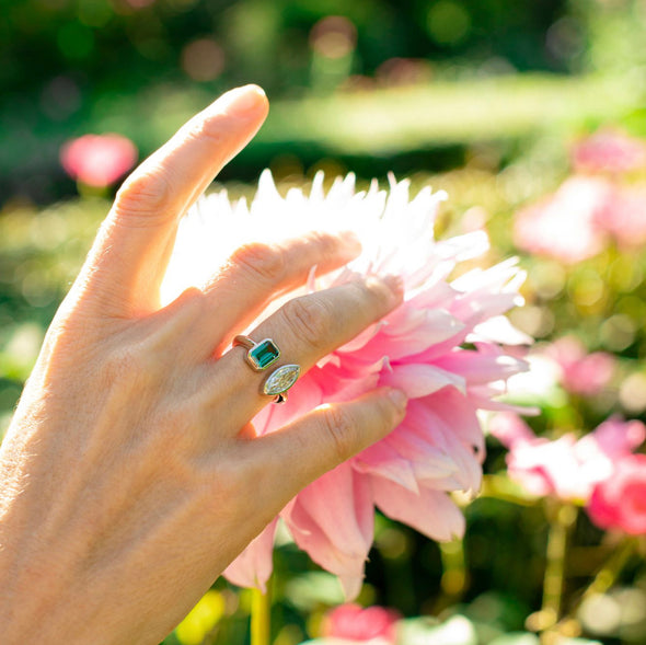 Thesis Bridge Ring