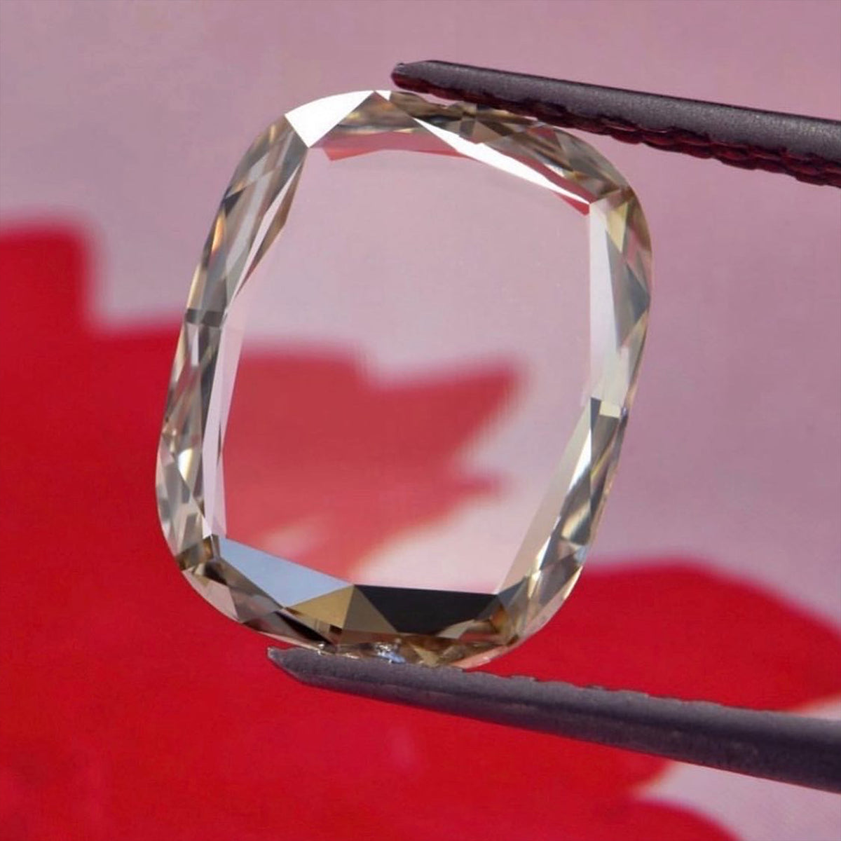 Leen Heyne x Thesis Champagne Portrait Cut Diamond