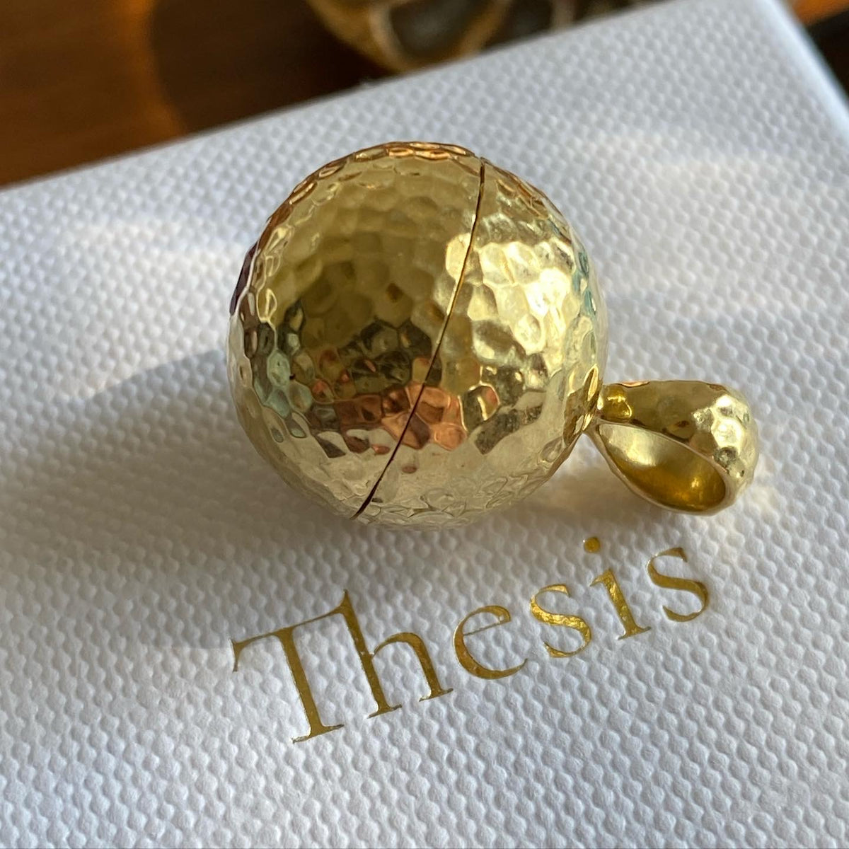 Thesis Poison Locket Pendant