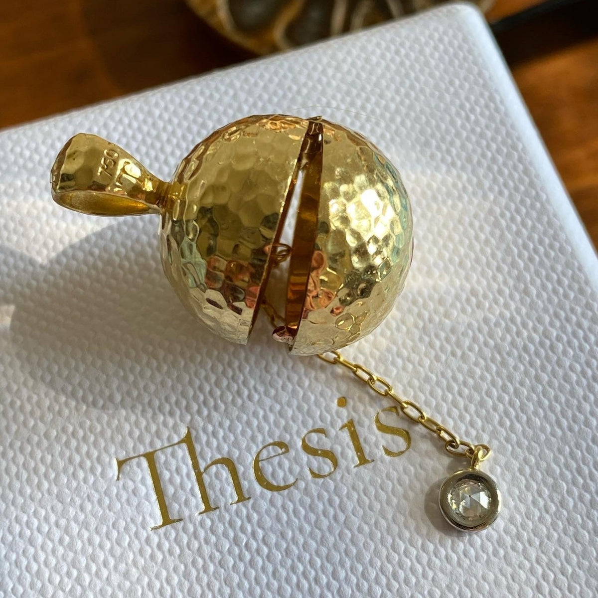 Thesis Poison Locket Pendant